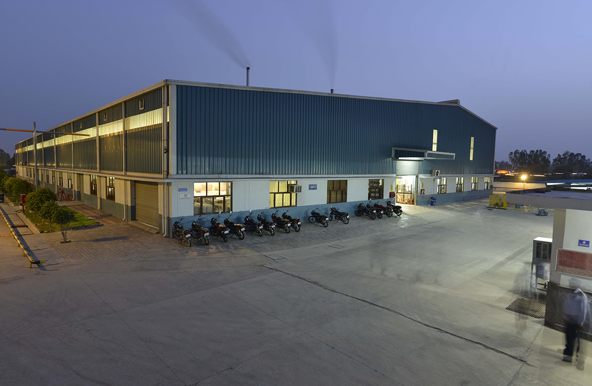 Main Plant Image