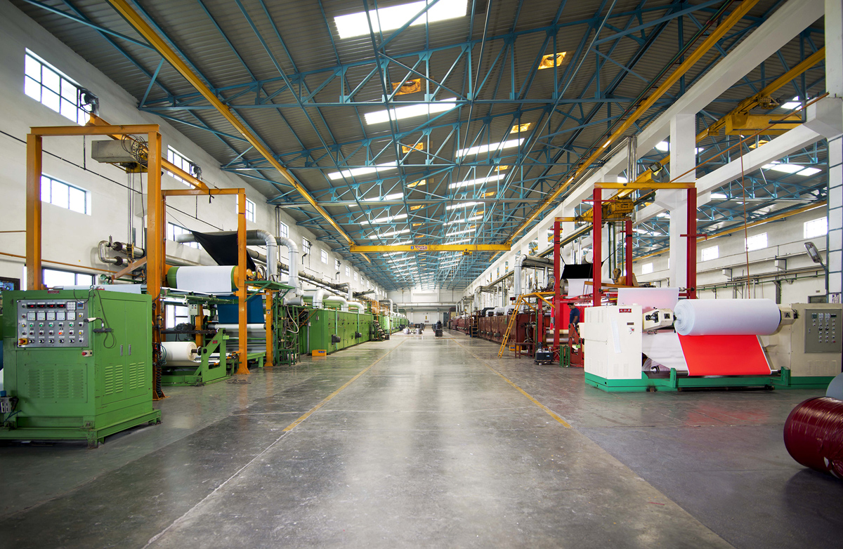 Main Plant Image